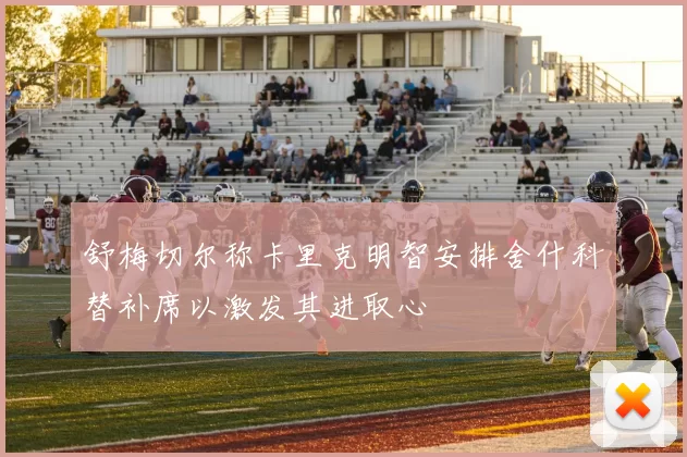 舒梅切尔称卡里克明智安排舍什科替补席以激发其进取心